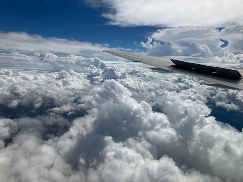 2E2A6806-0527-41B4-AF6D-2EFED2783492.jpeg