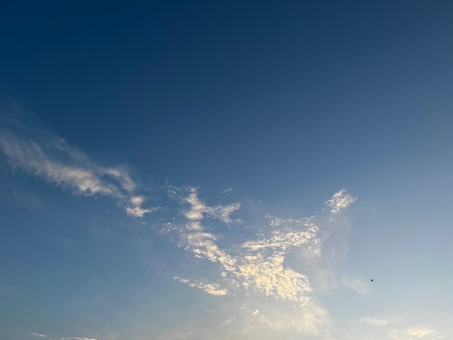 93578F04-8D40-465B-B1B0-EFE5772204D4.jpeg