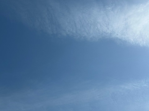 IMG_2223.jpeg